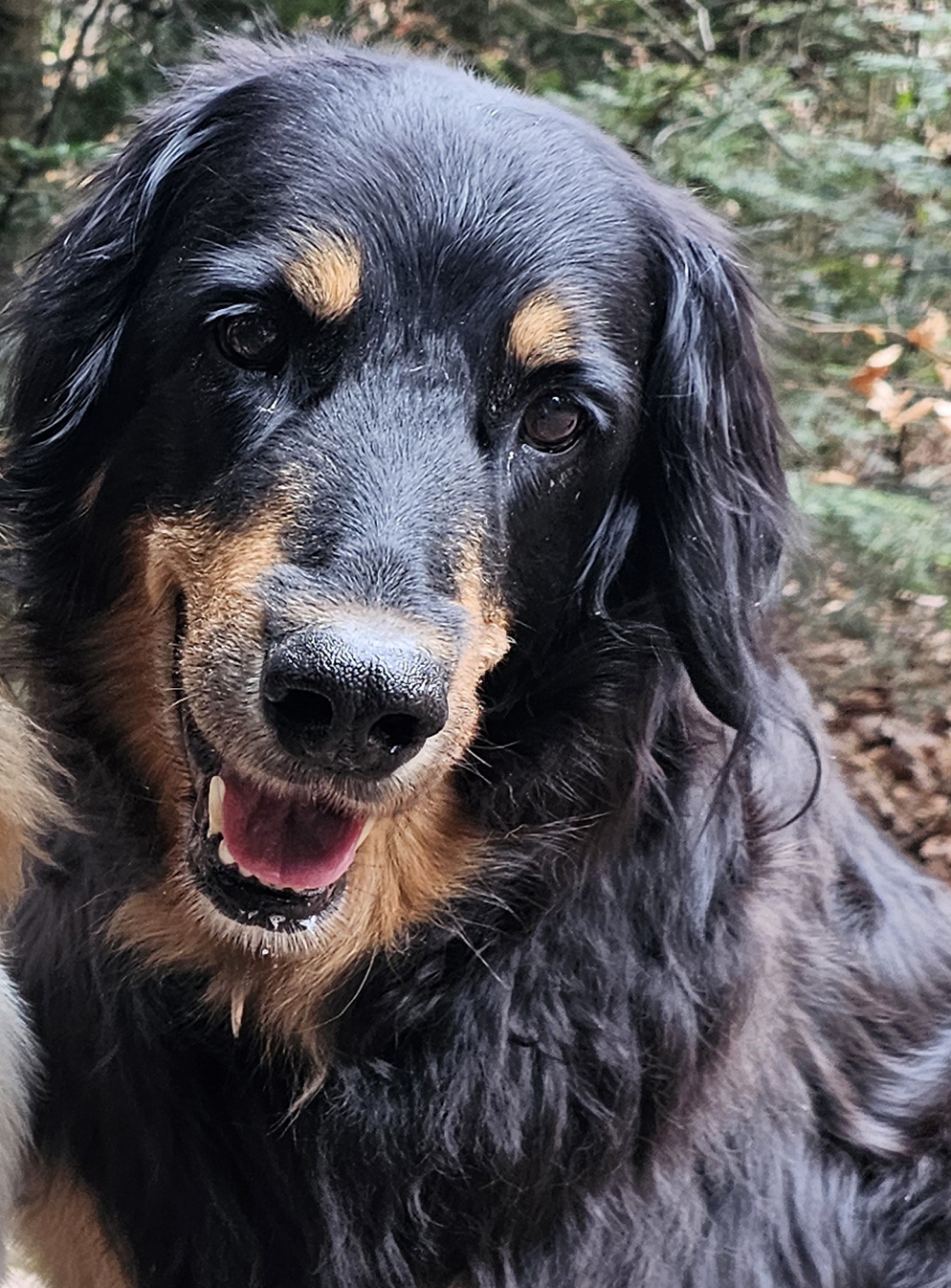 Aila_vomJäissberg_20240229_17sept11-14märz24 (002)