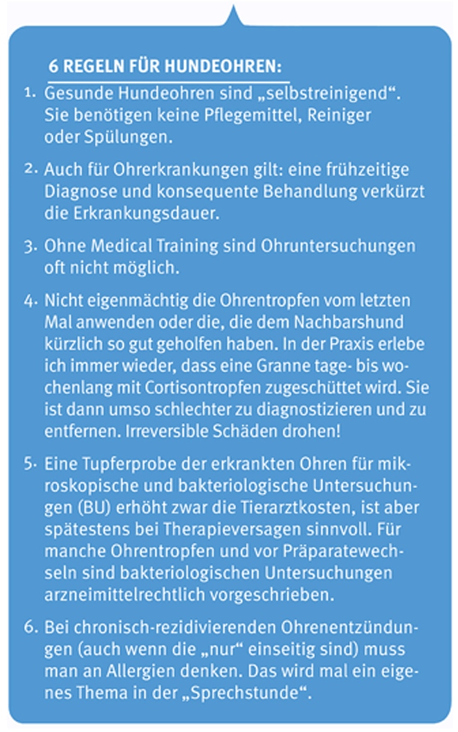 Hovithek_Ohr_Foto 2 (002)