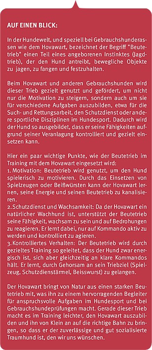 Teaser Beutetrieb_3 Teaser Beutetrieb_3