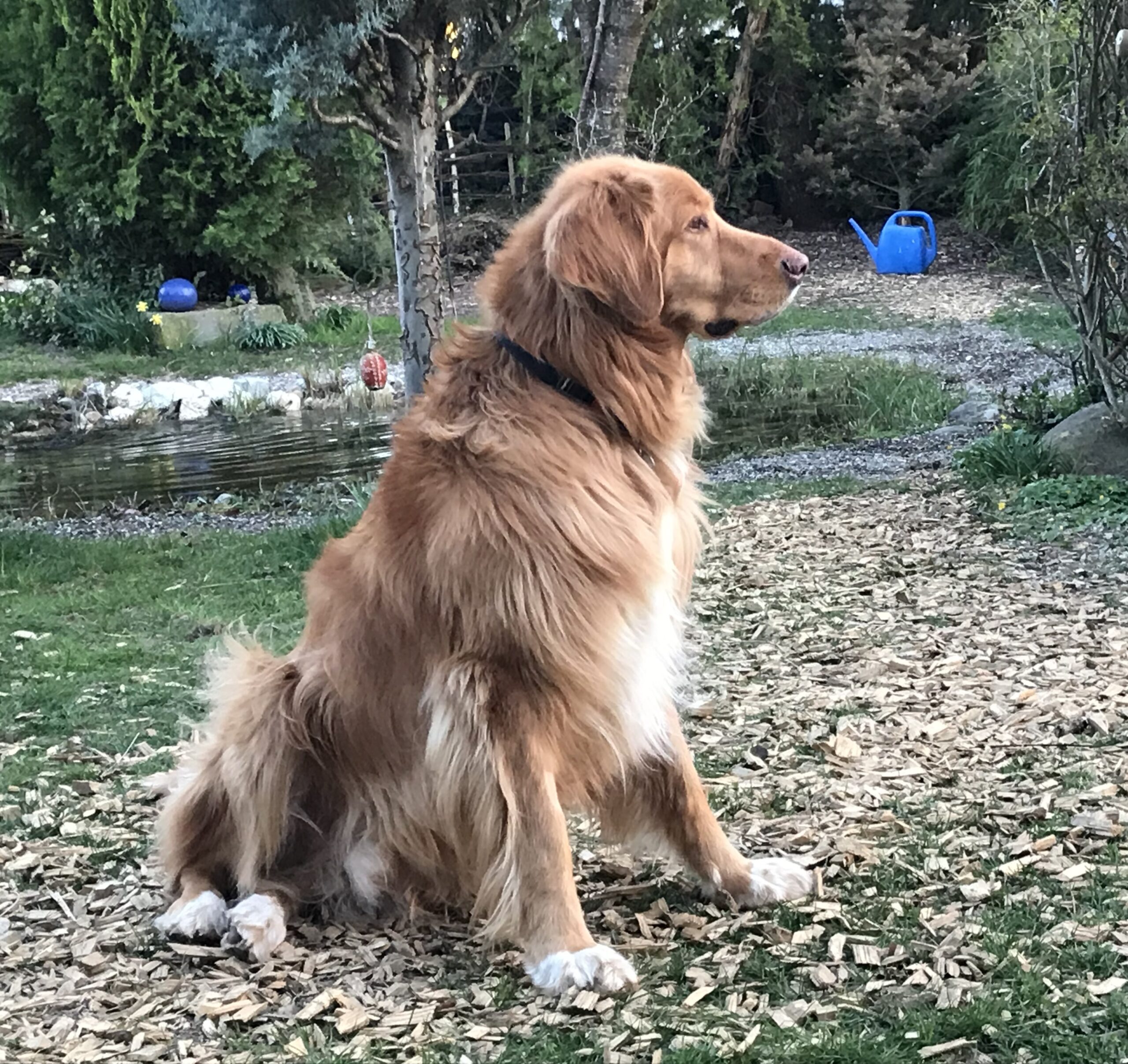 Wasco_3 Wasco_3