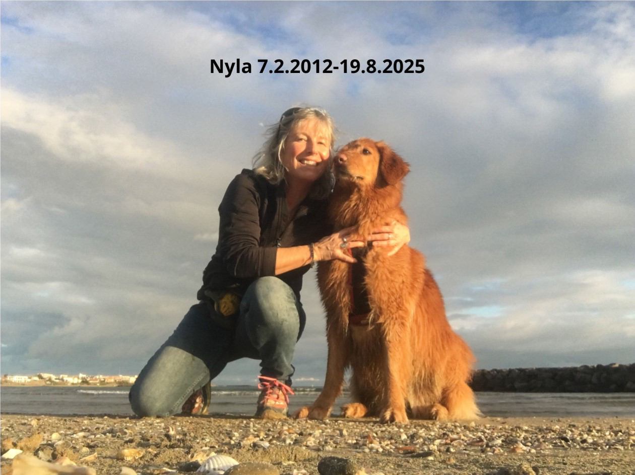 Nyla_gross Nyla_gross