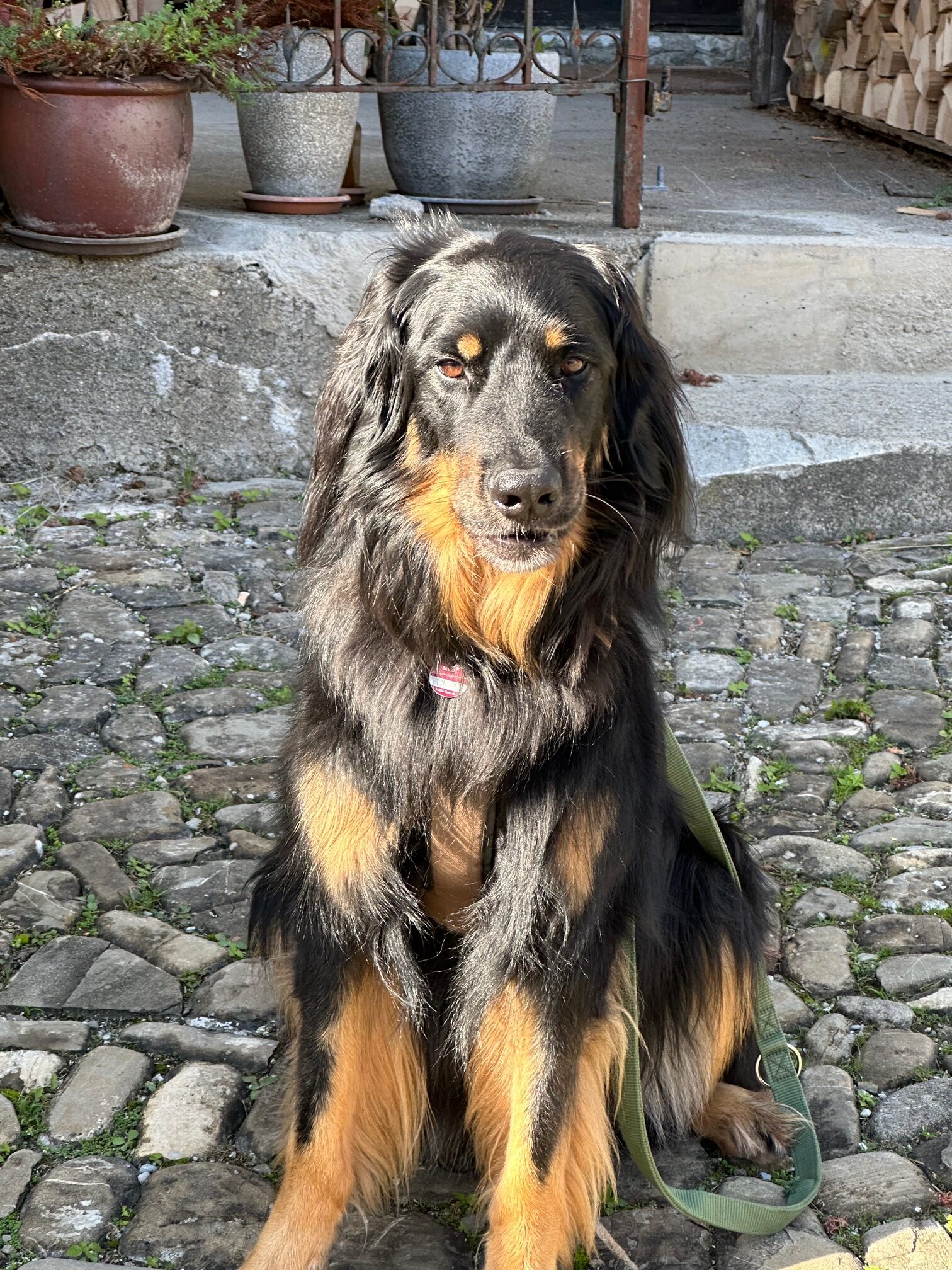Duke_in_memoriam